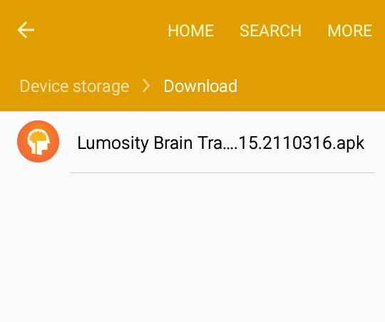 lumosity download