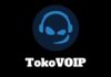 TOKOVOIP for Fivem