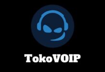 TOKOVOIP for Fivem