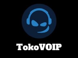 TOKOVOIP for Fivem