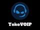 TOKOVOIP for Fivem