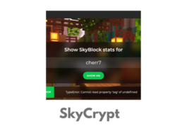 SkyCrypt main image