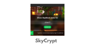 SkyCrypt main image